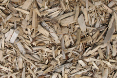 biomass boilers Tircanol